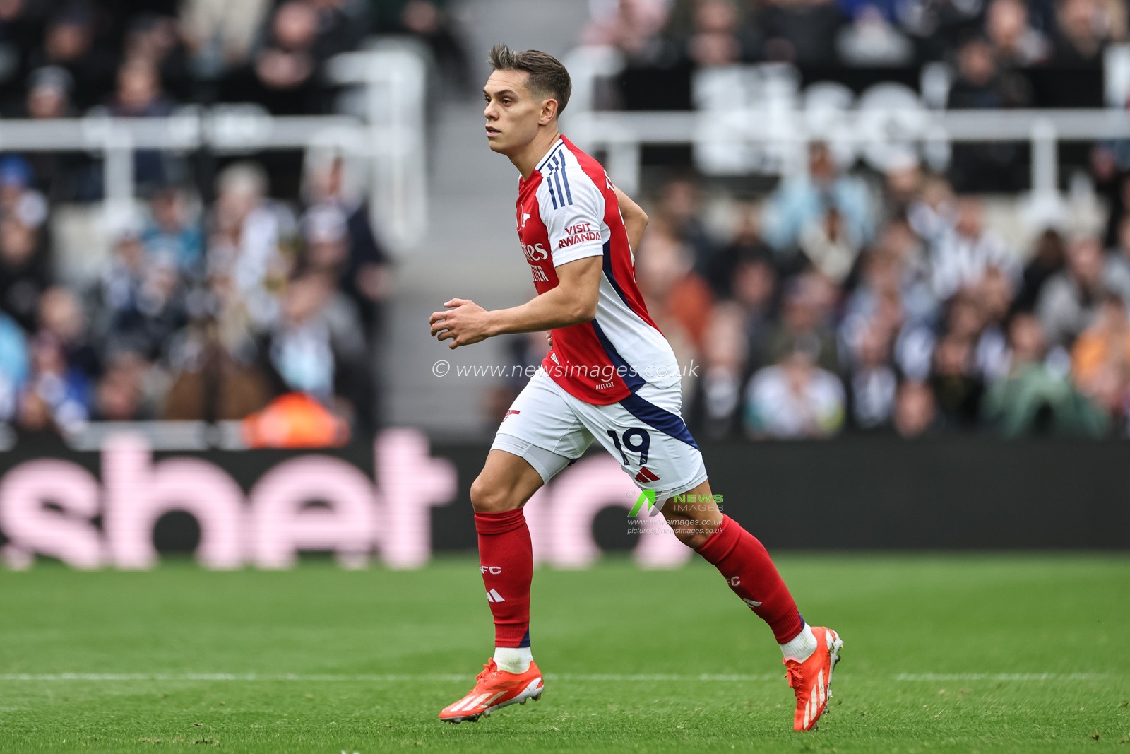 Leandro Trossard of Arsenal during the Premier League match Newcastle United vs Arsenal at St. James's Park, Newcastle, United Kingdom, 2nd November 2024

(Photo by Mark Cosgrove/News Images)