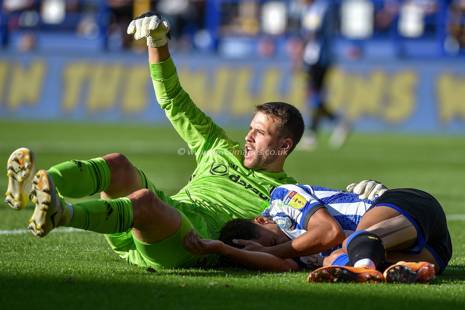 21st September 2019 , Hillsborough, Sheffield, England; Sky Bet Championship, Sheffield Wednesday vs Fulham : 
Credit: Dean Williams/News Images, Marcus Bettinelli(1) of Fulham calls for assistance for Jacob Murphy (14) of Sheffield Wednesday after a clash between the pair.

English Football League images are subject to DataCo Licence