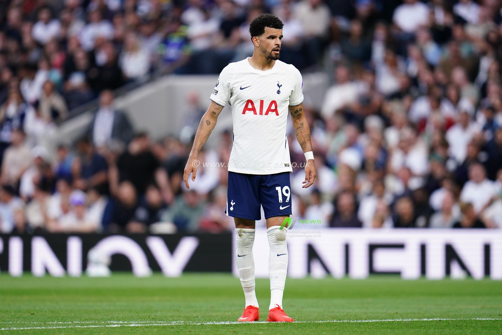 Dominic Solanke of Tottenham Hotspur during the Premier League match Tottenham Hotspur vs Everton at Tottenham Hotspur Stadium, London, United Kingdom on 12 September 2026

(Photo by Harvey Murphy/News Images)
