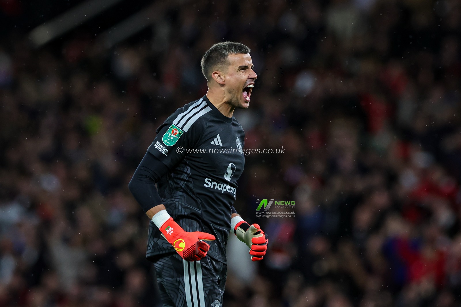 Carabao Cup round 3 Manchester United v Brighton & Hove Albion