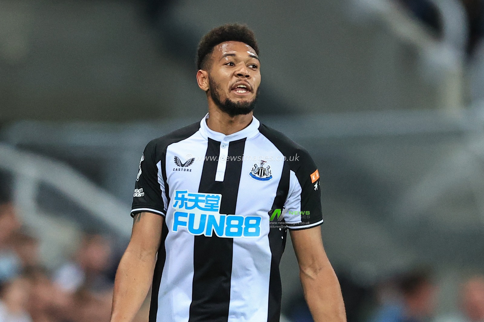 Joelinton #7 of Newcastle United during the game