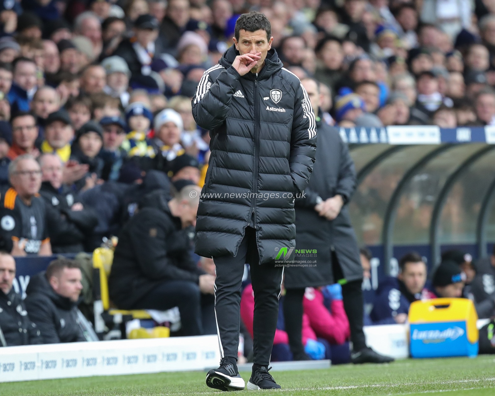 Newly appointed manager of Leeds United Javi Gracia during the Premier League match Leeds United vs Southampton at Elland Road, Leeds, United Kingdom, 25th February 2023

(Photo by James Heaton/News Images)
