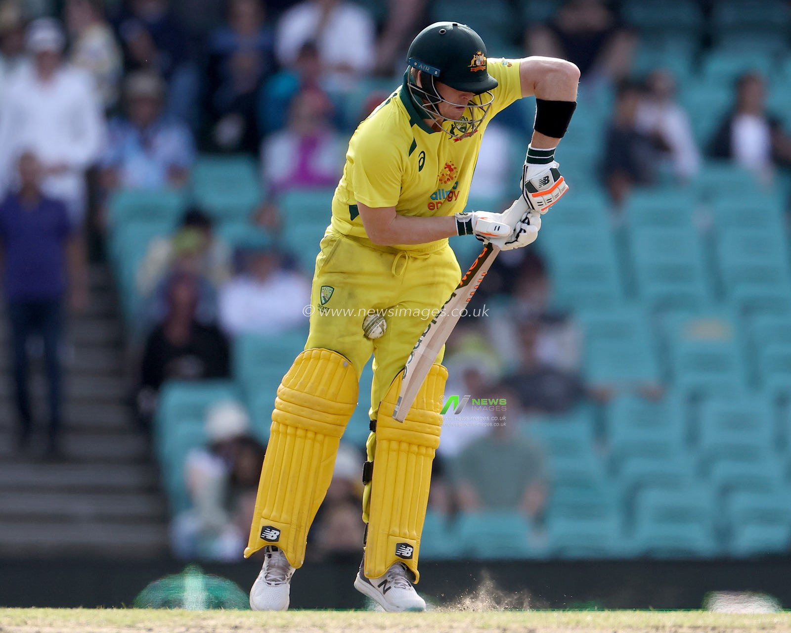 Steve Smith of Australia is seen during the Dettol Series 2nd ODI match Australia vs England at SCG, Sydney, Australia, 19th November 2022

(Photo by Patrick Hoelscher/News Images)