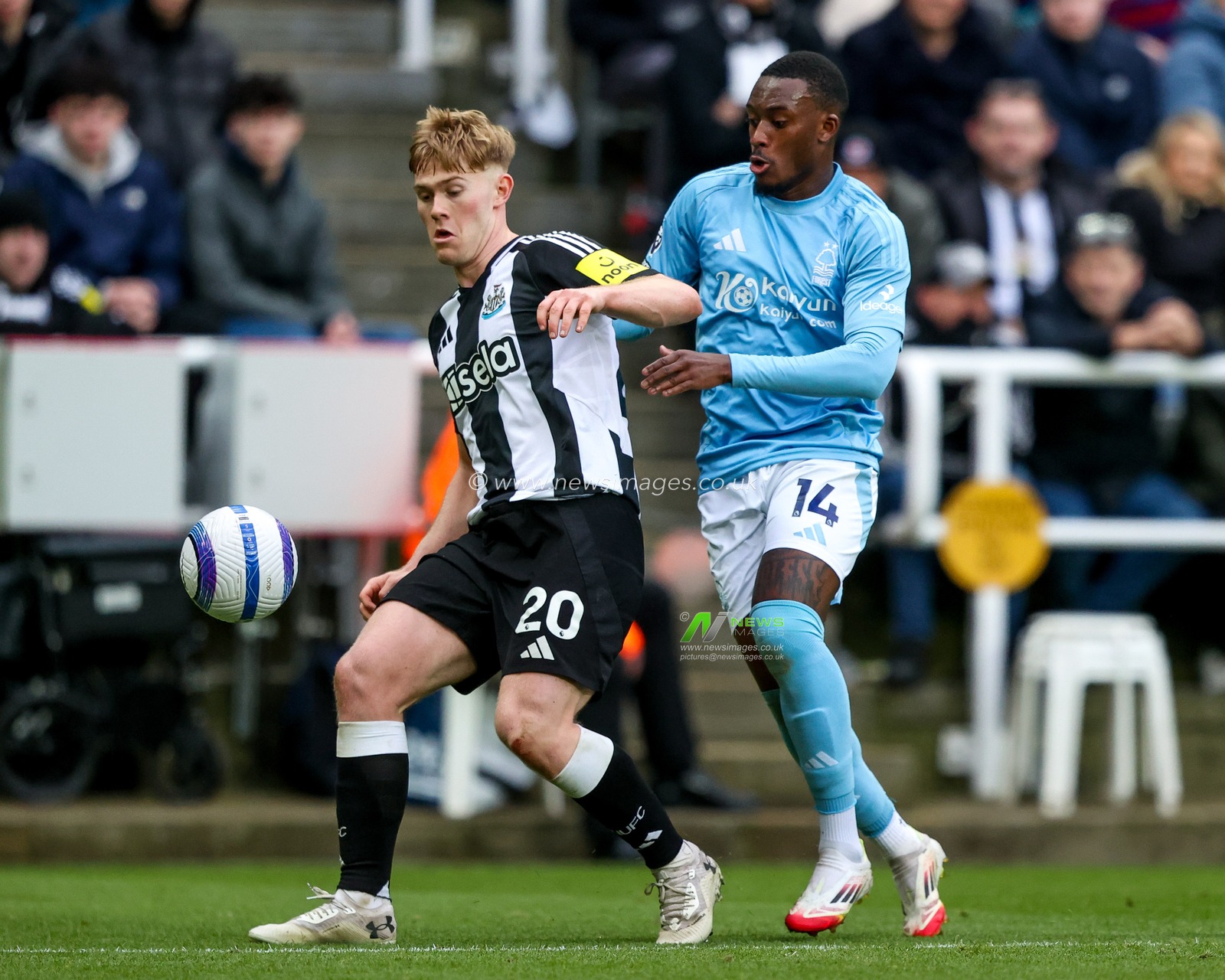 Lewis Hall of Newcastle United is put under pressure by Callum Hudson-Odoi of Nottingham Forest during the Premier League match Newcastle United vs Nottingham Forest at St. James's Park, Newcastle, United Kingdom, 23rd February 2025

(Photo by Alfie Cosgrove/News Images)