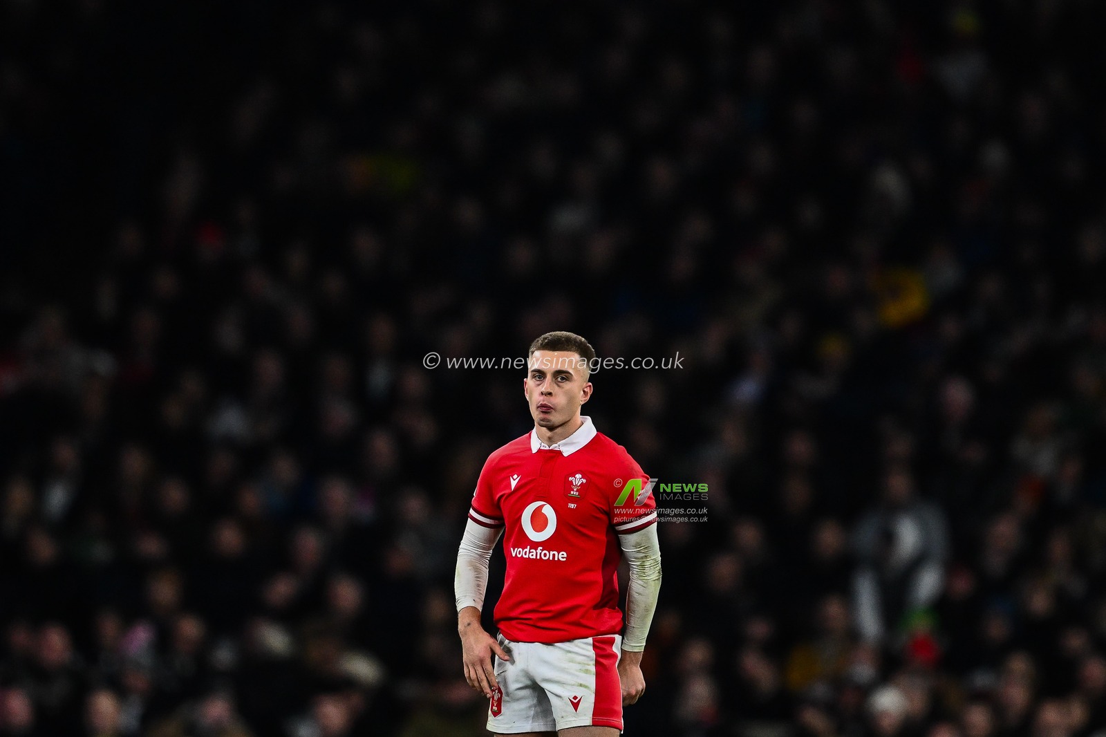 Cameron Winnett of Wales during the 2024 Guinness 6 Nations match England vs Wales at Twickenham Stadium, Twickenham, United Kingdom, 10th February 2024

(Photo by Craig Thomas/News Images)