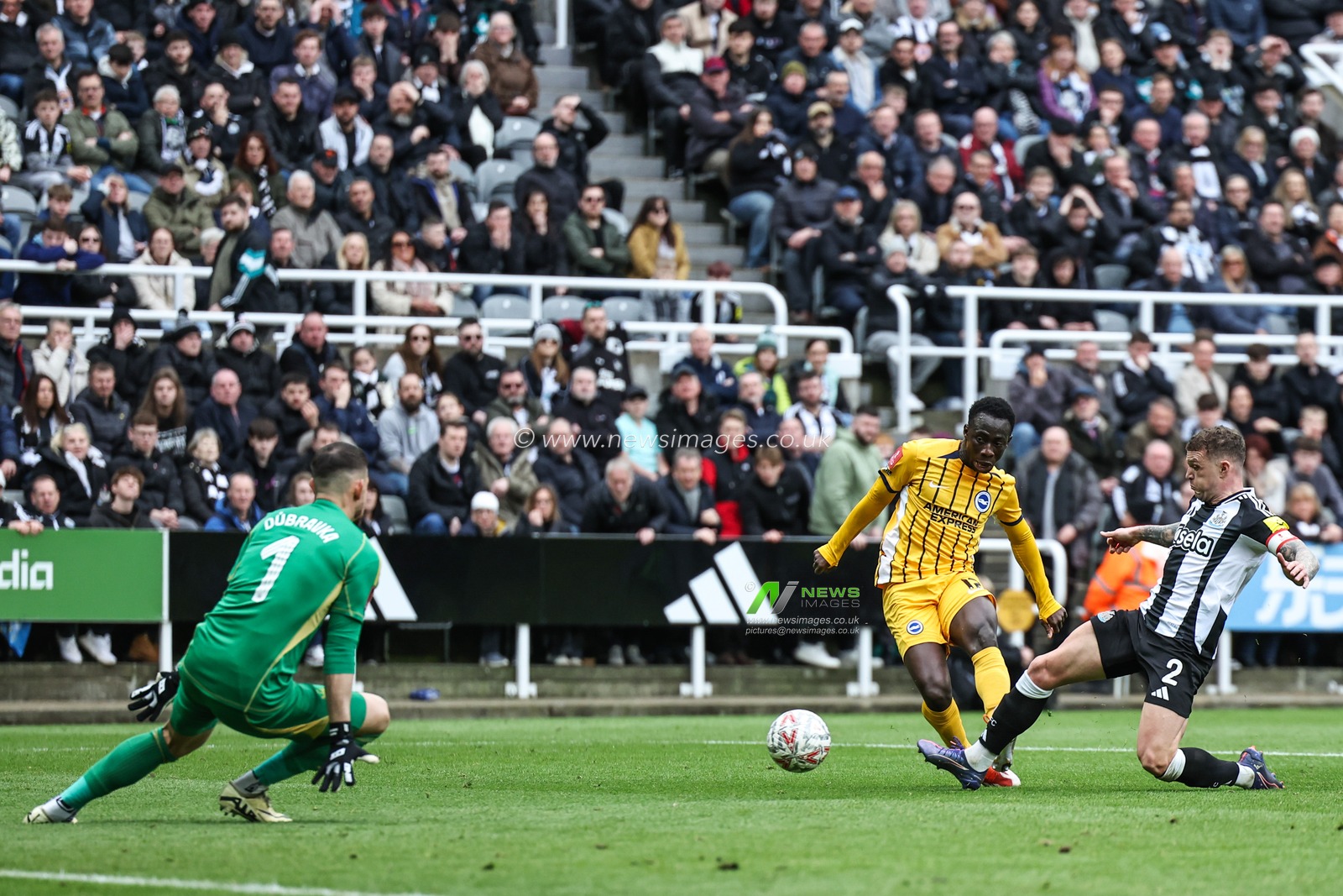 Yankuba Minteh of Brighton & Hove Albion scores a goal to make it 1-1 during the Emirates FA Cup 5th Round Newcastle United vs Brighton and Hove Albion at St. James's Park, Newcastle, United Kingdom, 2nd March 2025

(Photo by Mark Cosgrove/News Images)