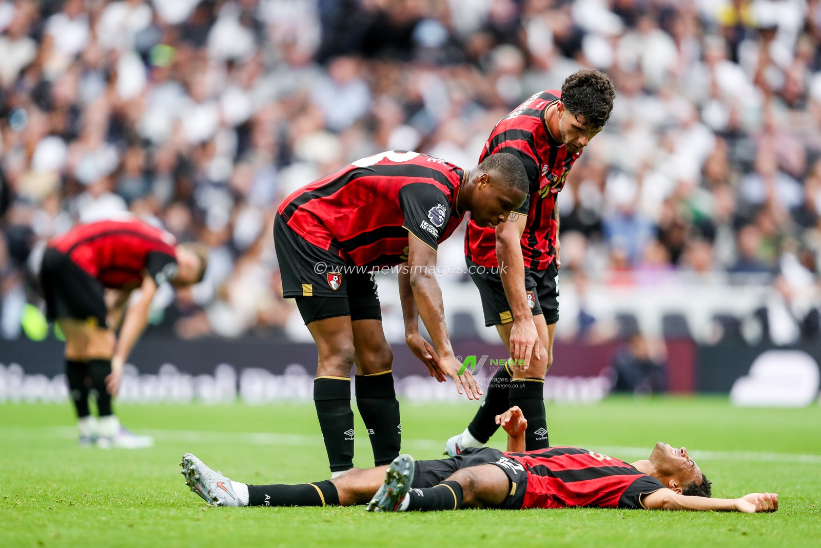 Tyler Adams of AFC Bournemouth goes down with injury during the Premier League match Tottenham Hotspur vs Bournemouth at Tottenham Hotspur Stadium, London, United Kingdom, 30th August 2025

(Photo by Izzy Poles/News Images)