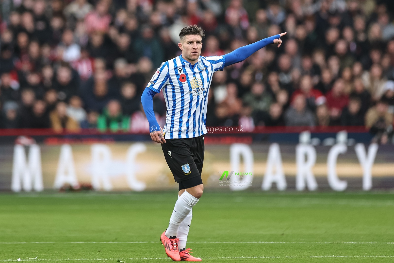 Josh Windass of Sheffield Wednesday gives his team instructions during the Sky Bet Championship match Sheffield United vs Sheffield Wednesday at Bramall Lane, Sheffield, United Kingdom, 10th November 2024

(Photo by Mark Cosgrove/News Images)