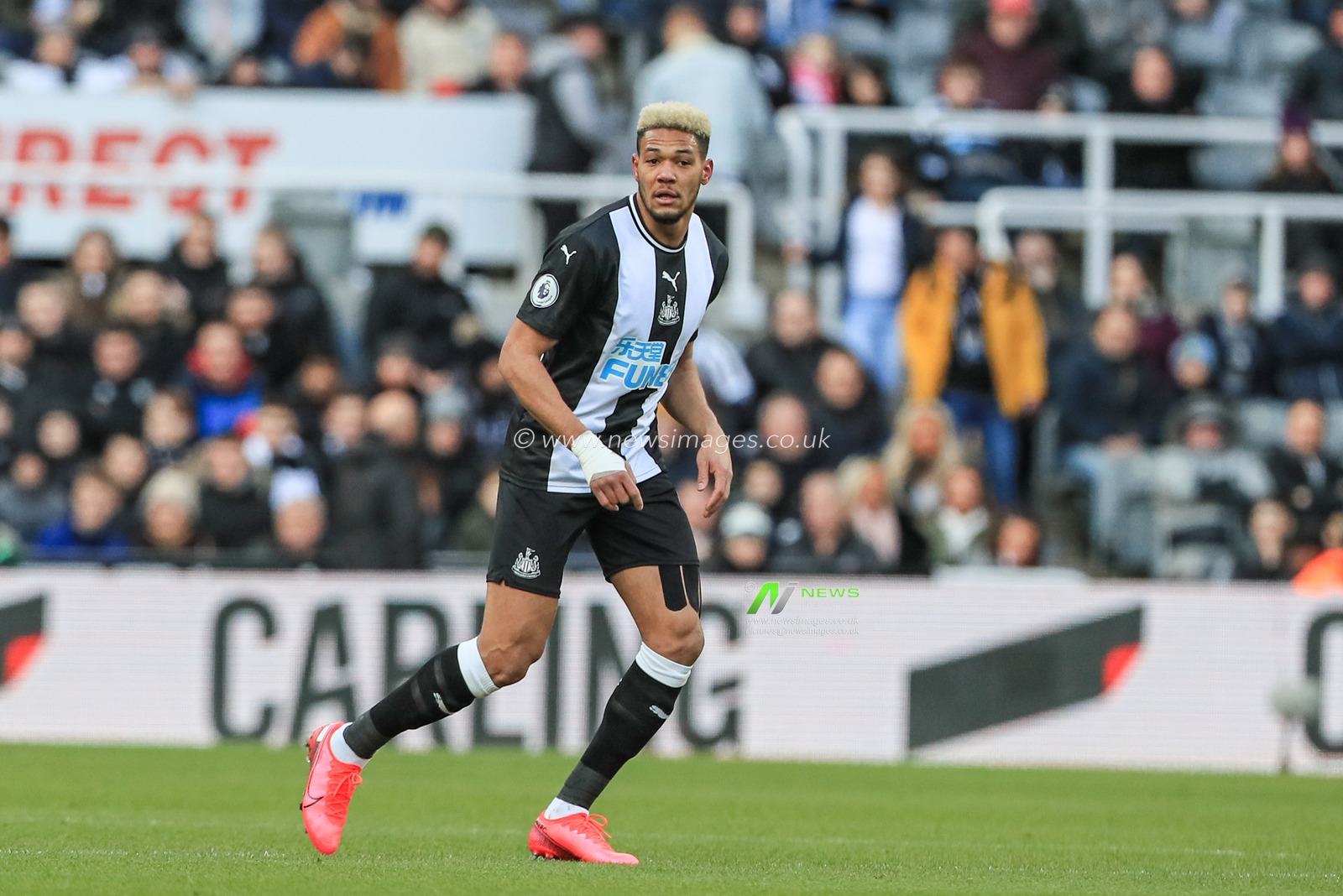 29th February 2020, St. James's Park, Newcastle, England; Premier League, Newcastle United v Burnley : Joelinton (9) of Newcastle United during the game