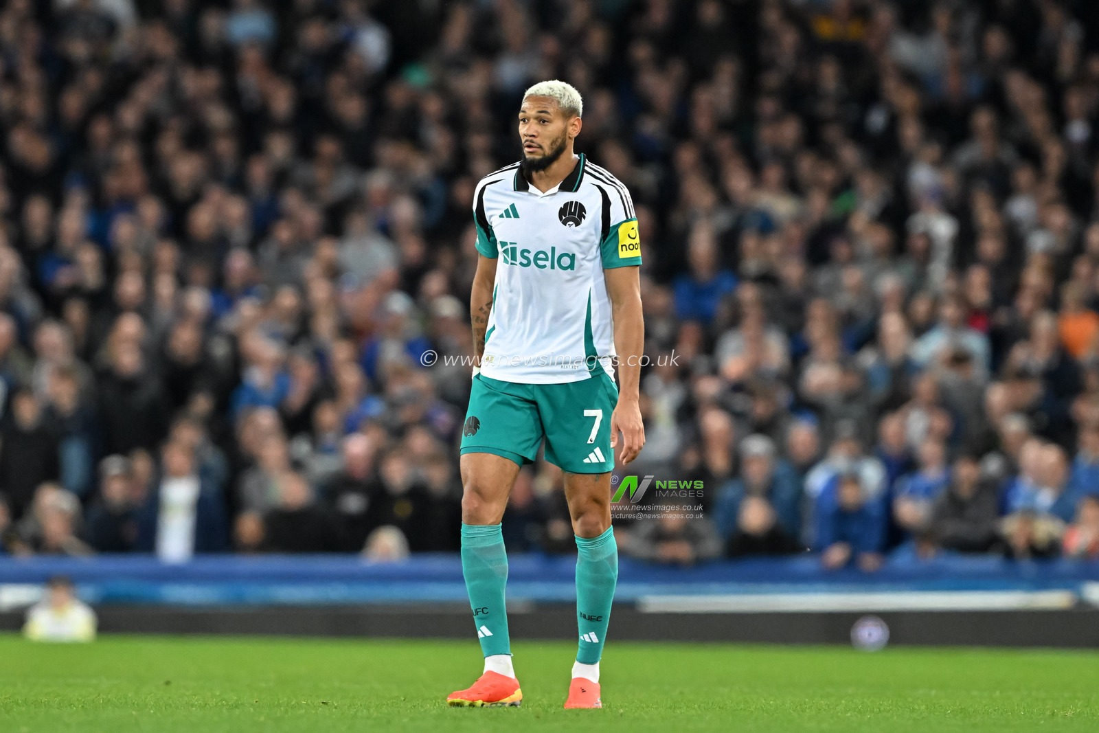 Joelinton of Newcastle United during the Premier League match Everton vs Newcastle United at Goodison Park, Liverpool, United Kingdom, 5th October 2024

(Photo by Cody Froggatt/News Images)