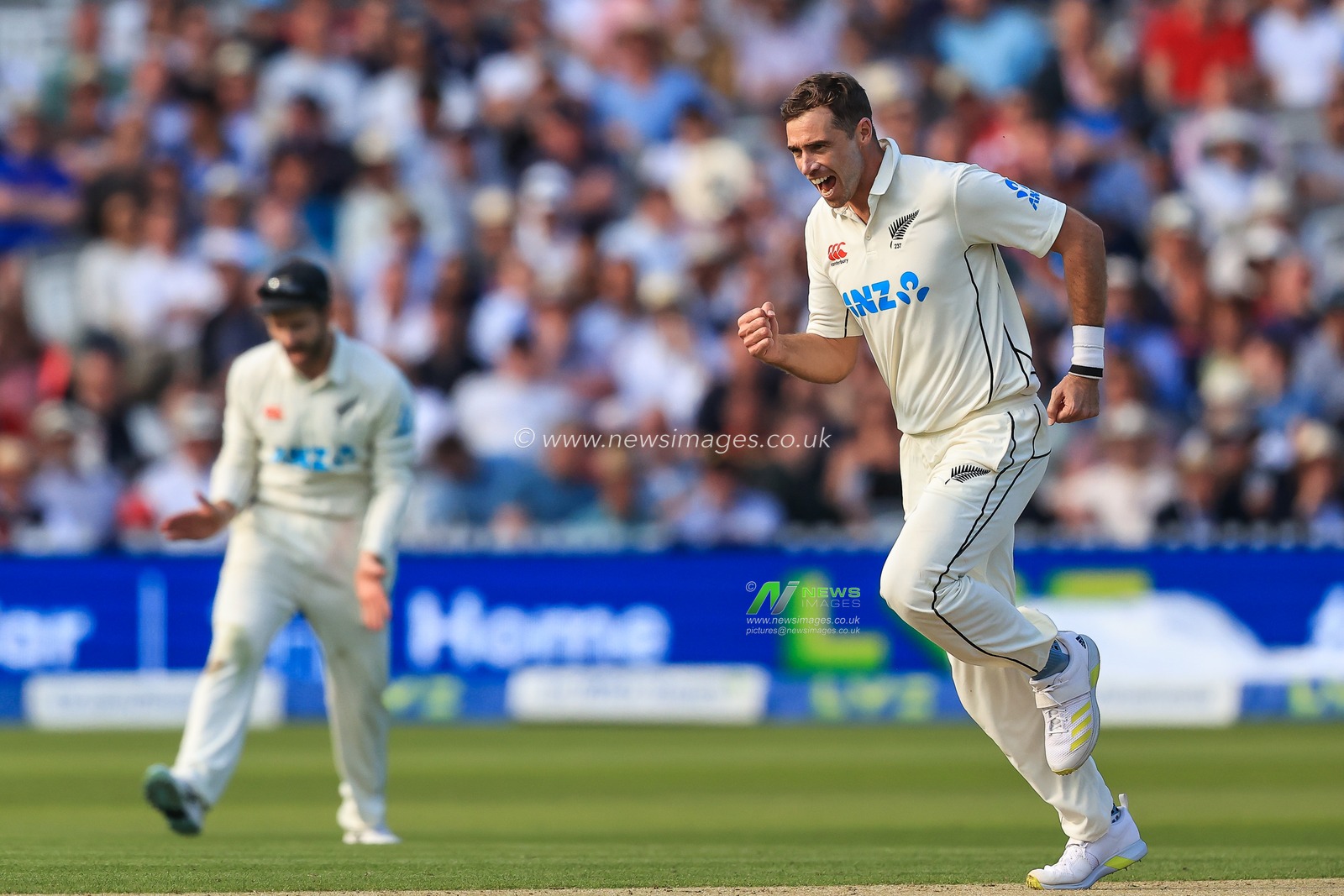 Tim Southee of New Zealand celebrates getting Ben Stokes of England  out caught by Tom Blundell