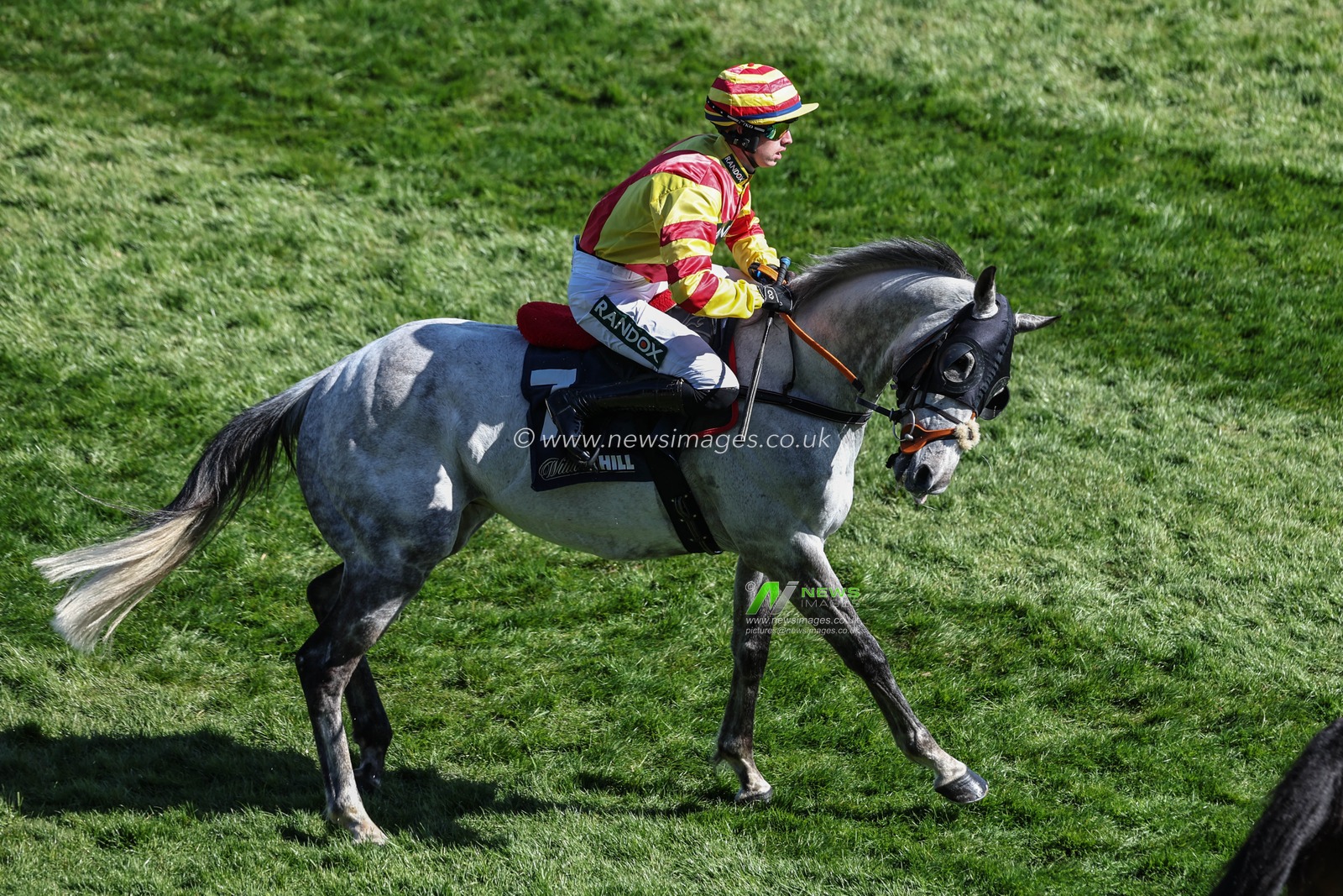 Dartan ridden by James Smith during the Randox Grand National 2025 Day 3 Grand National Day at Aintree Racecourse, Liverpool, United Kingdom, 5th April 2025

(Photo by Mark Cosgrove/News Images)