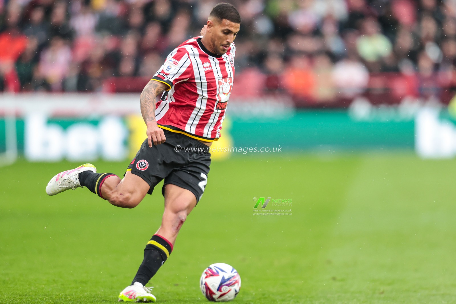 Vinicius Souza of Sheffield United during the Sky Bet Championship match Sheffield United vs Cardiff City at Bramall Lane, Sheffield, United Kingdom, 18th April 2025

(Photo by Richard Bierton/News Images)
