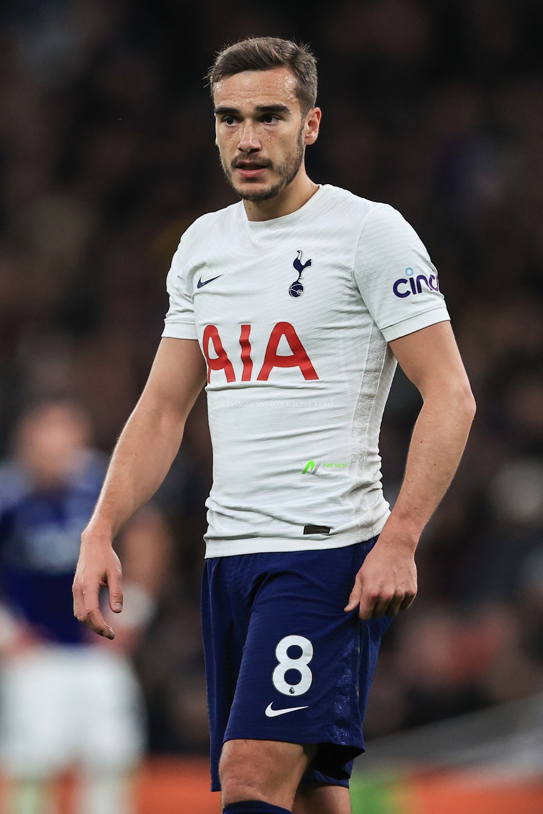 Harry Winks #8 of Tottenham Hotspur during the game