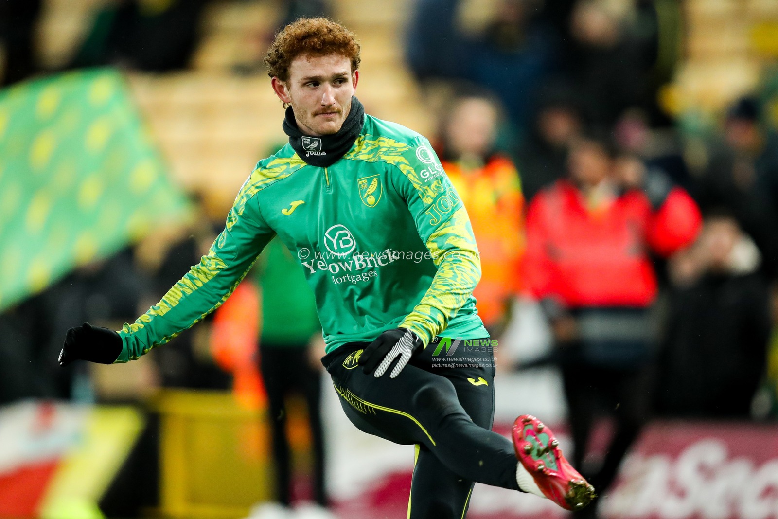 Josh Sargent of Norwich City warms up prior to the Sky Bet Championship match Norwich City vs Preston North End at Carrow Road, Norwich, United Kingdom, 11th February 2025

(Photo by Izzy Poles/News Images)