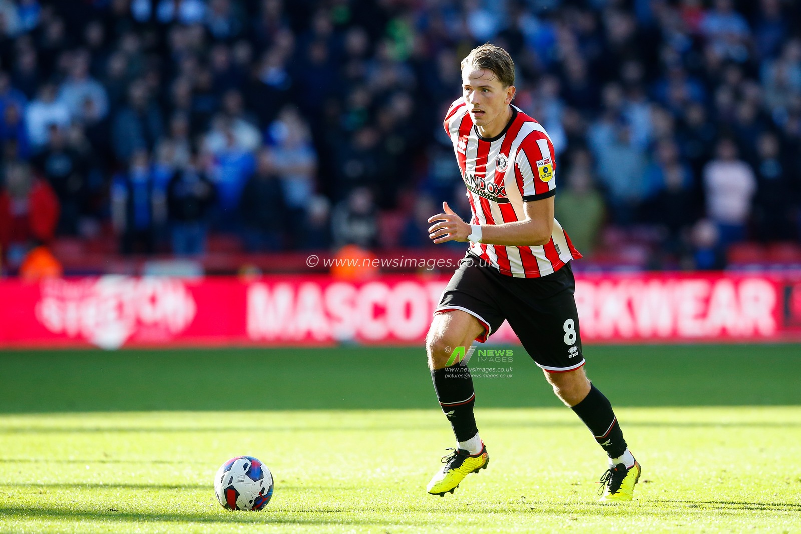 Sander Berge #8 of Sheffield United during the Sky Bet Championship match Sheffield United vs Birmingham City at Bramall Lane, Sheffield, United Kingdom, 1st October 2022

(Photo by Ben Early/News Images)