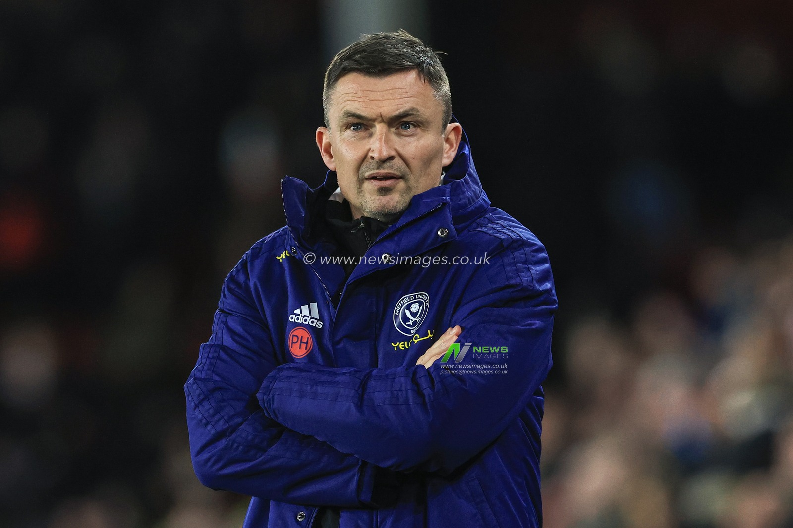 Paul Heckingbottom manager of Sheffield United during the game