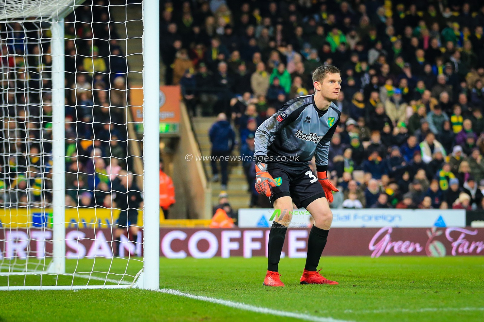 5th January 2019, Carrow Road, Norfolk, England; The Emirates FA Cup, 3rd Round, Norwich City vs Portsmouth ;  Michael McGovern (33) at the ready for Norwich City 

Credit: Georgie Kerr/News Images

English Football League images are subject to DataCo Licence