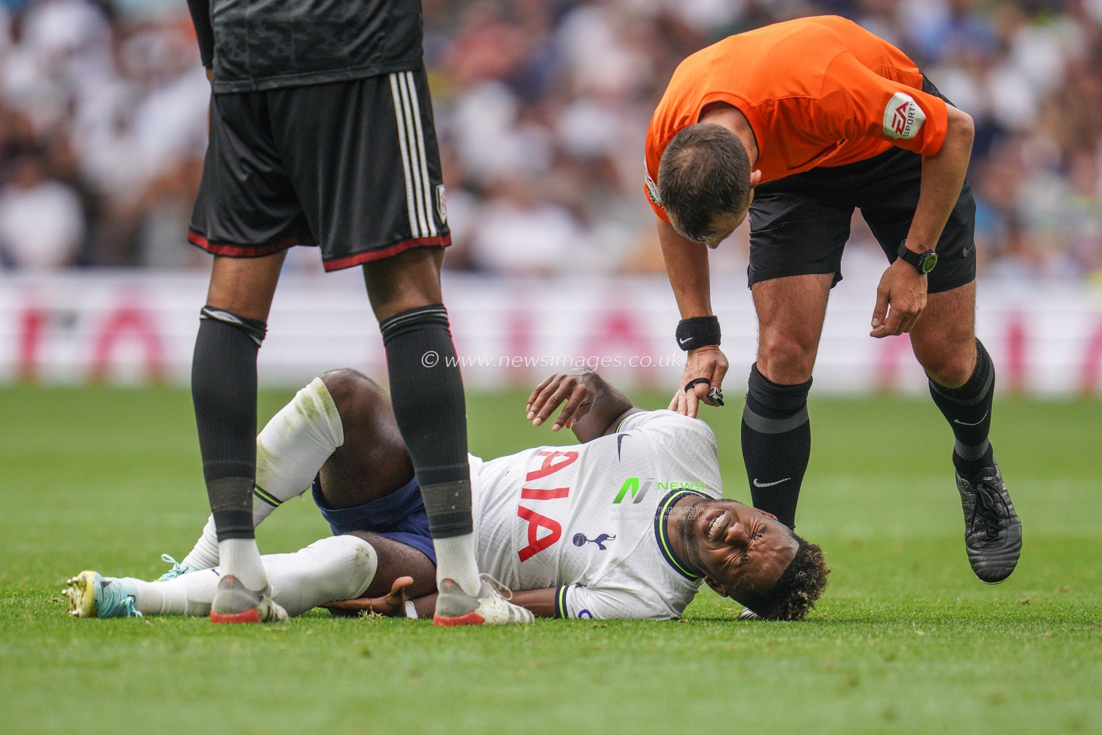 Referee Stuart Attwell checks on Ryan Sessegnon #19 of Tottenham Hotspur after taking a knock during the Premier League match Tottenham Hotspur vs Fulham at Tottenham Hotspur Stadium, London, United Kingdom, 3rd September 2022

(Photo by Richard Washbrooke/News Images)