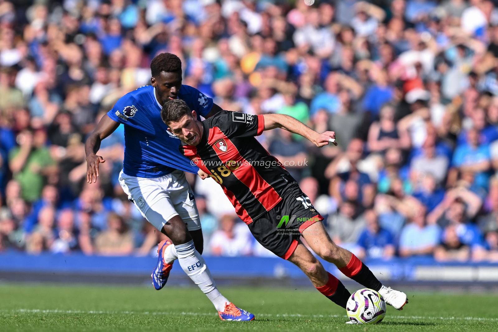 Ryan Christie of Bournemouth holds off Tim Iroegbunam of Everton during the Premier League match Everton vs Bournemouth at Goodison Park, Liverpool, United Kingdom, 31st August 2024

(Photo by Cody Froggatt/News Images)