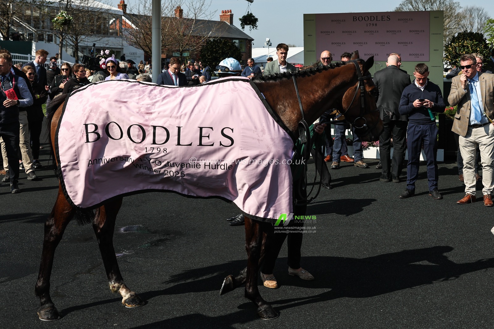 Murcia ridden by Paul Townend in the winners enclosure after the Boodles Anniversary 4-Y-O Juvenile Hurdle during the Randox Grand National 2025 Day 1 Opening Day at Aintree Racecourse, Liverpool, United Kingdom, 3rd April 2025

(Photo by Mark Cosgrove/News Images)