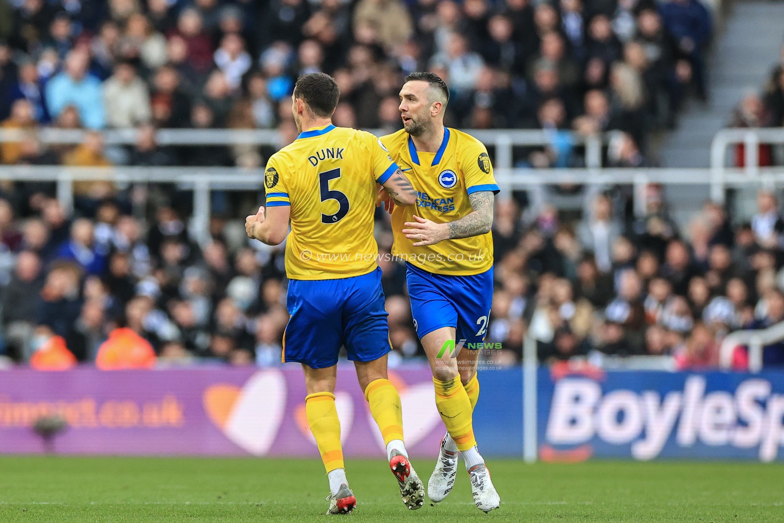 Lewis Dunk #5 of Brighton & Hove Albion celebrates his goal to make it 2-1 with Shane Duffy #24 of Brighton & Hove Albion