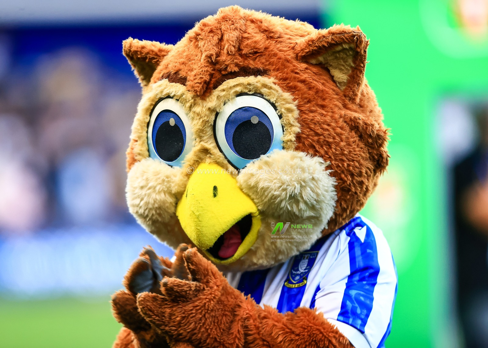 Sheffield Wednesday mascot during the Carabao Cup match Sheffield Wednesday vs Leeds United at Hillsborough, Sheffield, United Kingdom, 26th August 2025

(Photo by Richard Bierton/News Images)