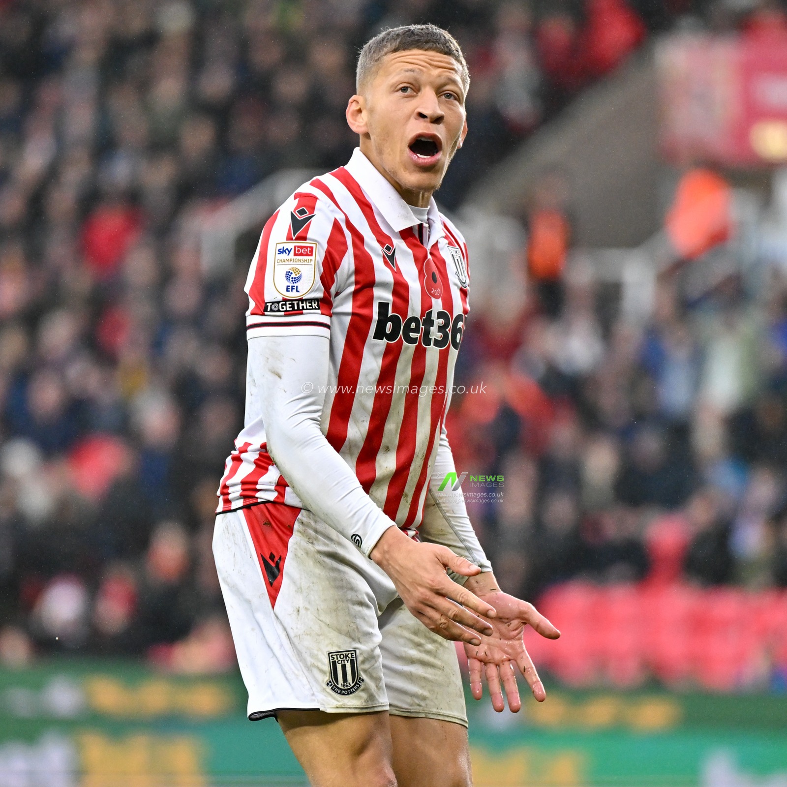 Dwight Gayle 11# of Stoke City Football Club shows his frustration at missing an opportunity for Stoke, during the Sky Bet Championship match Stoke City vs Cardiff City at Bet365 Stadium, Stoke-on-Trent, United Kingdom, 4th November 2023

(Photo by Cody Froggatt/News Images)