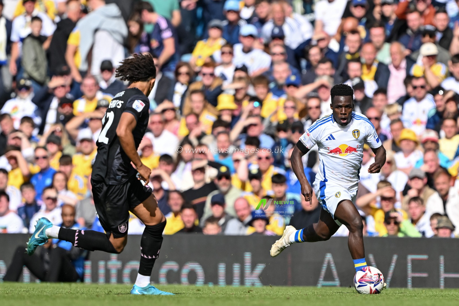 Wilfried Gnonto of Leeds United breaks forwards with the ball during the Sky Bet Championship match Leeds United vs Burnley at Elland Road, Leeds, United Kingdom, 14th September 2024

(Photo by Cody Froggatt/News Images)