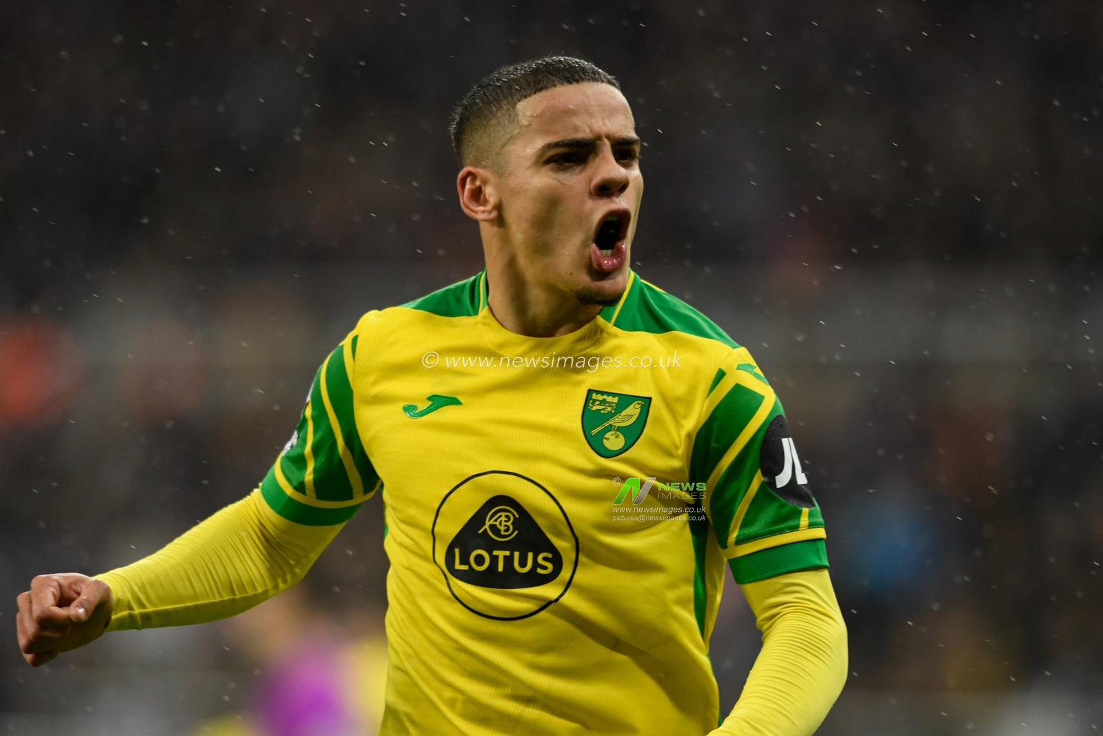 Max Aarons #2 of Norwich City celebrates his side scoring a goal to make it 1-1