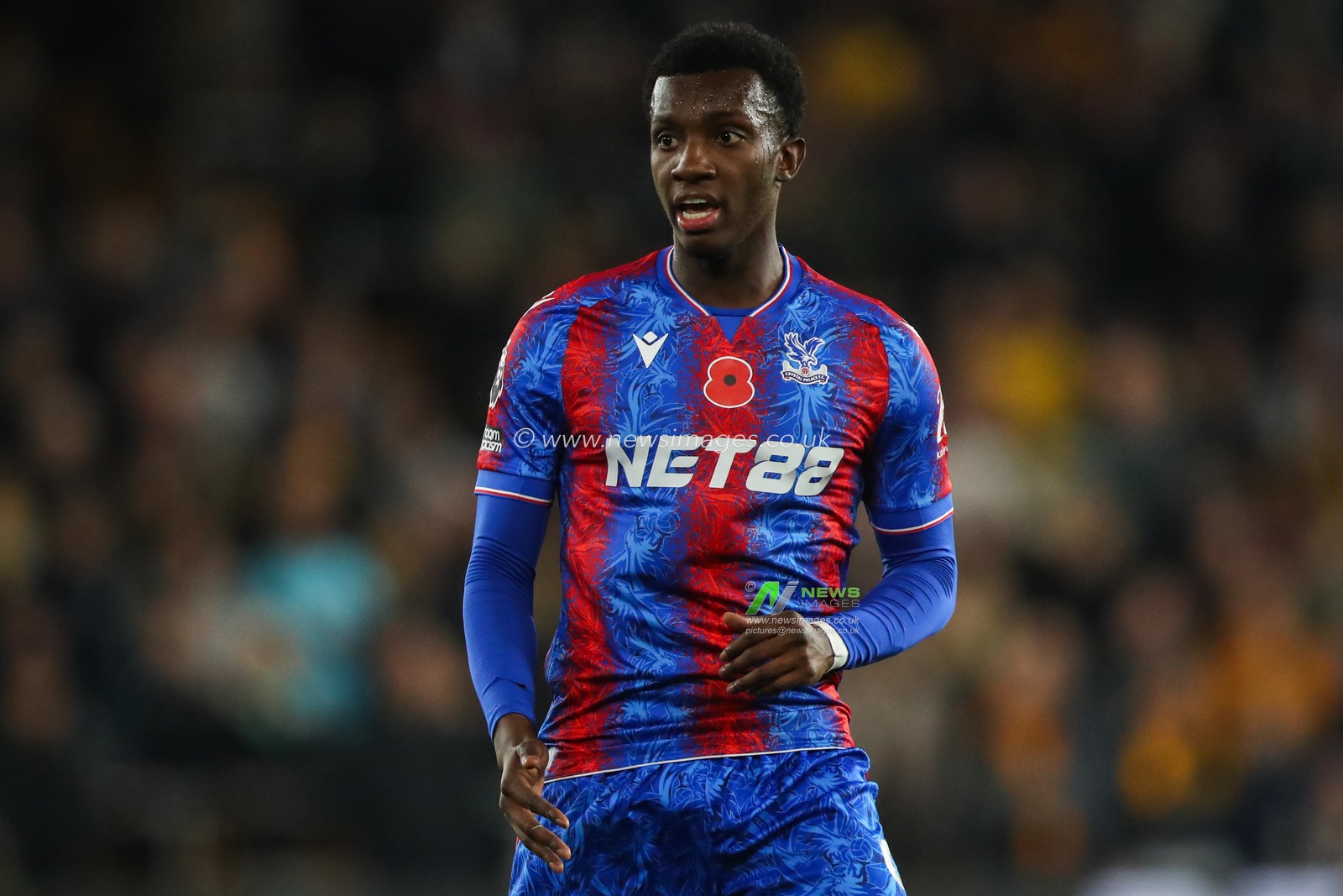 Eddie Nketiah of Crystal Palace during the Premier League match Wolverhampton Wanderers vs Crystal Palace at Molineux, Wolverhampton, United Kingdom, 2nd November 2024

(Photo by Gareth Evans/News Images)