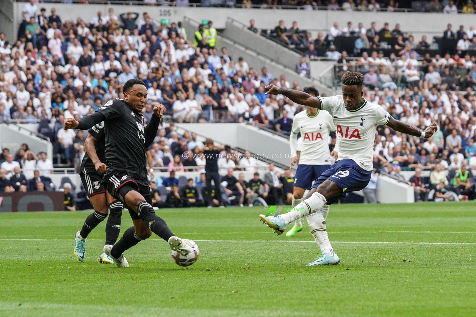 Ryan Sessegnon #19 of Tottenham Hotspur shoots on goal during the Premier League match Tottenham Hotspur vs Fulham at Tottenham Hotspur Stadium, London, United Kingdom, 3rd September 2022

(Photo by Richard Washbrooke/News Images)