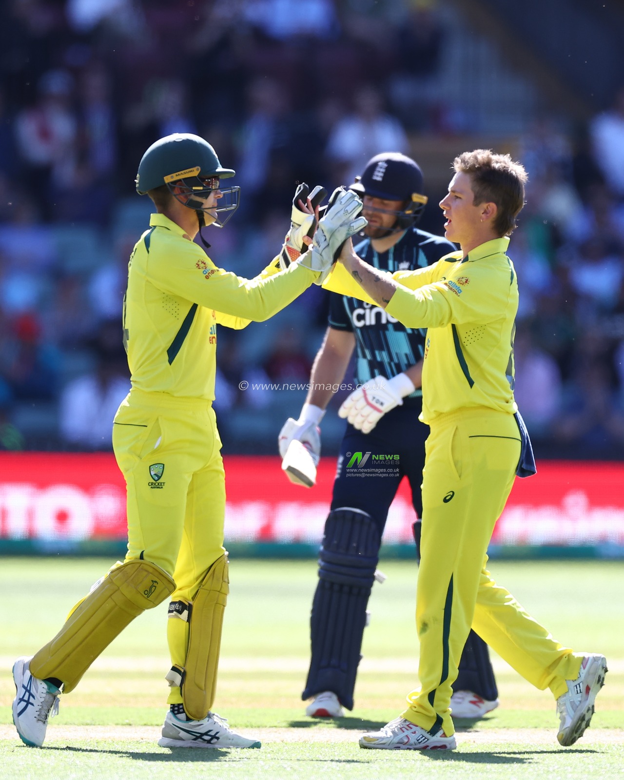 Adam Zampa of Australia dismisses Chris Jordan of England during the Dettol ODI Series match Australia vs England at Adelaide Oval, Adelaide, Australia, 17th November 2022

(Photo by Patrick Hoelscher/News Images)