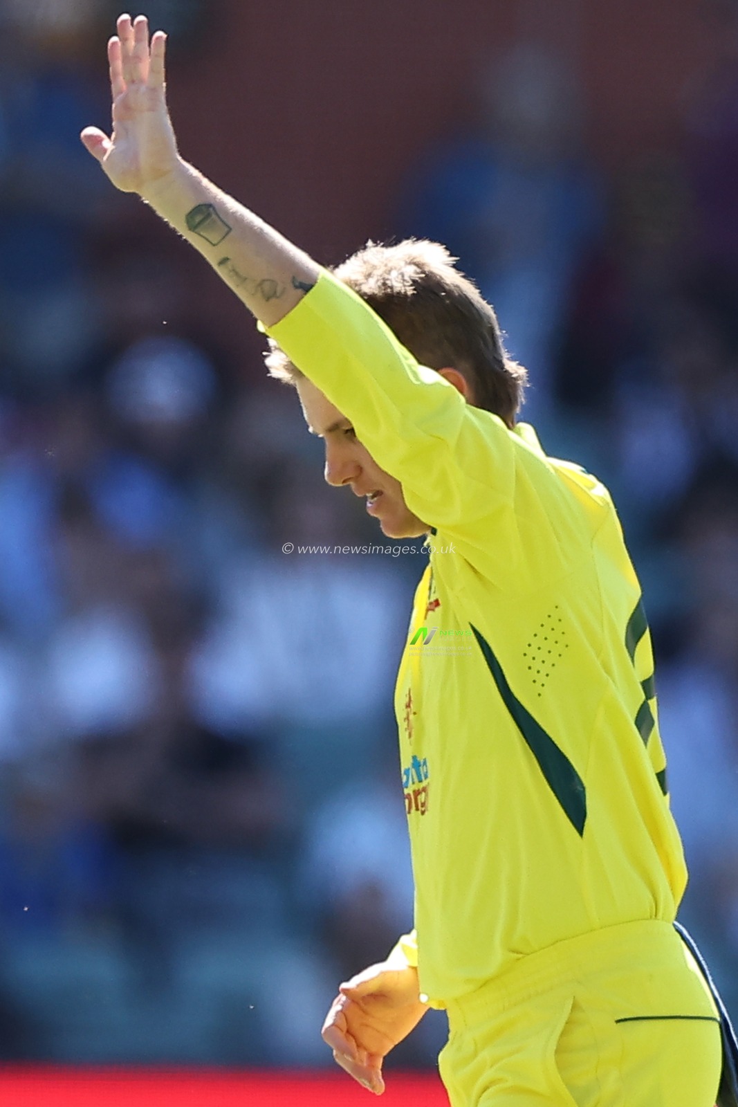 Adam Zampa of Australia dismisses Chris Jordan of England during the Dettol ODI Series match Australia vs England at Adelaide Oval, Adelaide, Australia, 17th November 2022

(Photo by Patrick Hoelscher/News Images)