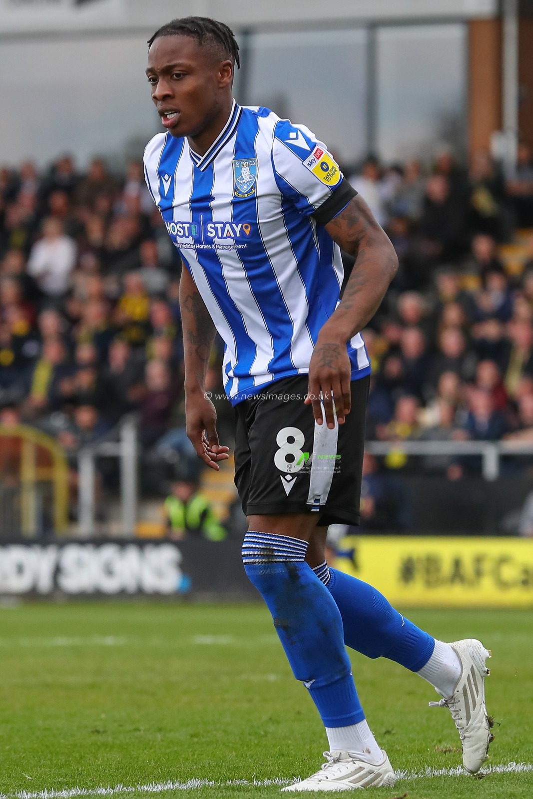 Dennis Adeniran #8 of Sheffield Wednesday during the Sky Bet League 1 match Burton Albion vs Sheffield Wednesday at Pirelli Stadium, Burton upon Trent, United Kingdom, 15th April 2023

(Photo by Gareth Evans/News Images)