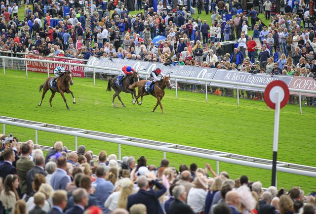 2019 Darley Yorkshire Oaks/Ladies Day