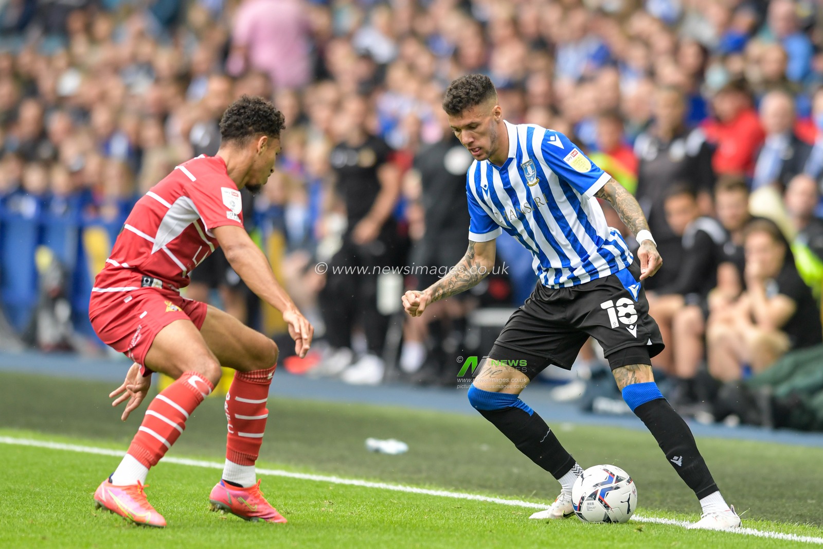 Marvin Johnson #18 of Sheffield Wednesday keeps the ball in play