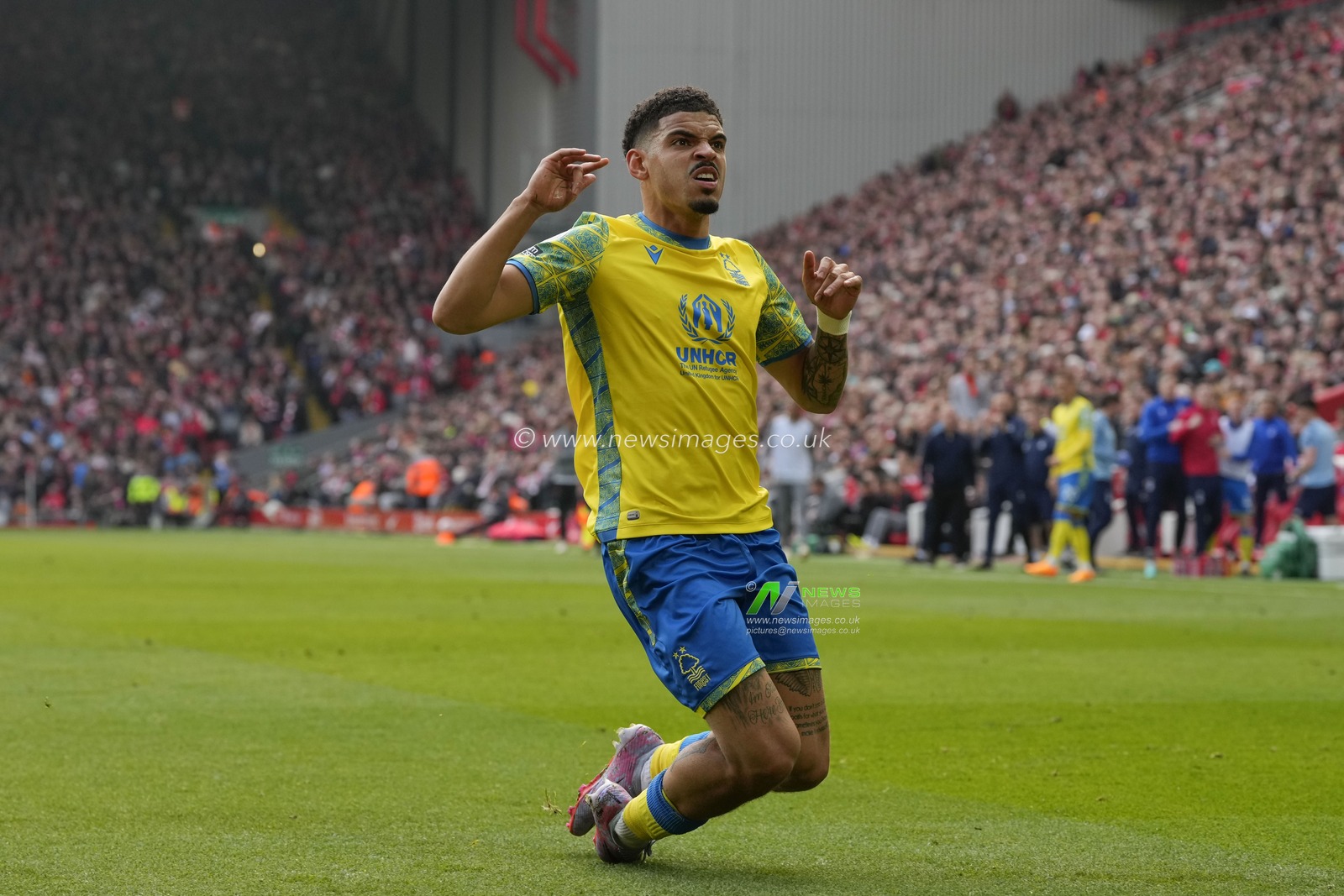 Morgan Gibbs-White #10 of Nottingham Forest celebrates after he scores to make it 2-2 during the Premier League match Liverpool vs Nottingham Forest at Anfield, Liverpool, United Kingdom, 22nd April 2023

(Photo by Steve Flynn/News Images)