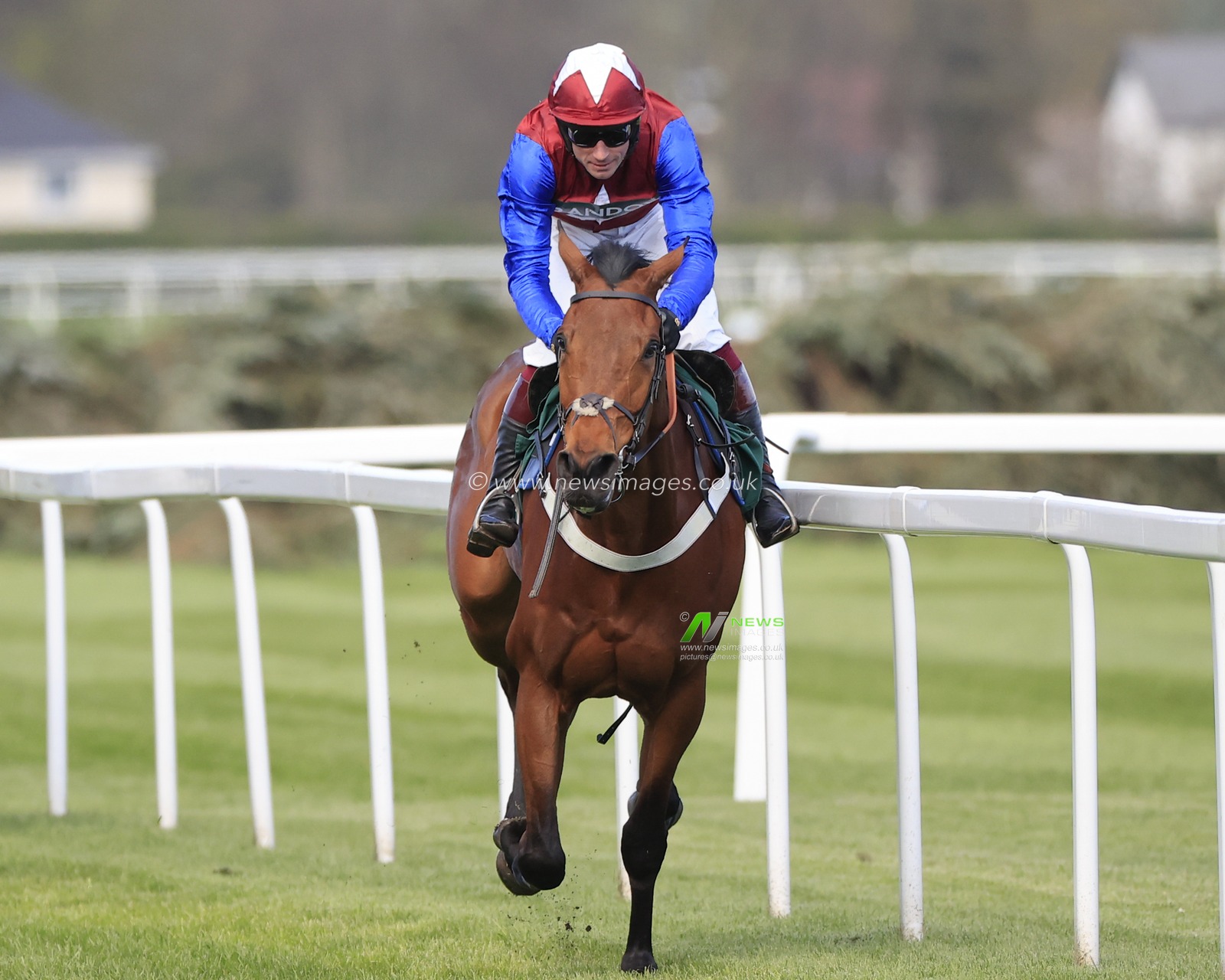 Famous Clermont ridden by William Biddick wins The Randox Foxhunters Open Hunters Chase during the Randox Grand National festival 2023 Opening Day at Aintree Racecourse, Liverpool, United Kingdom, 13th April 2023

(Photo by Conor Molloy/News Images)