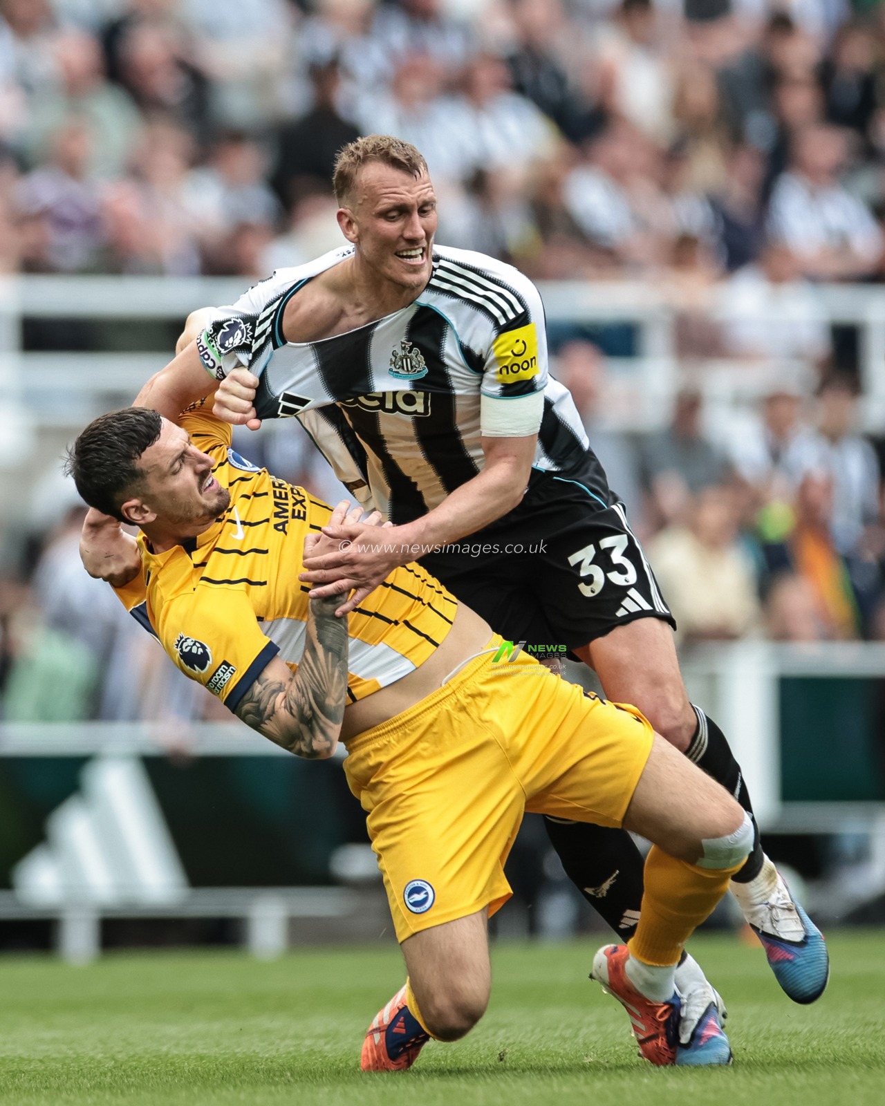 Lewis Dunk of Brighton & Hove Albion and Dan Burn of Newcastle United tussle during the Premier League match Newcastle Untied vs Brighton & Hove Albion at St. James's Park, Newcastle, United Kingdom on 02 May 2026

(Photo by Mark Cosgrove/News Images)