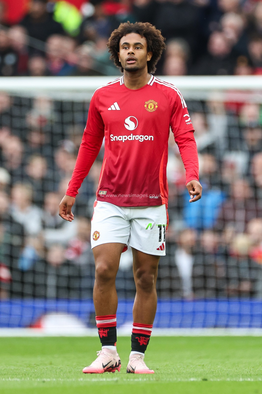 Joshua Zirkzee of Manchester United during the Premier League match Manchester United vs Tottenham Hotspur at Old Trafford, Manchester, United Kingdom, 29th September 2024

(Photo by Mark Cosgrove/News Images)
