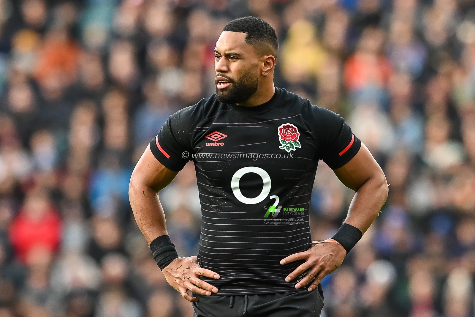 Joe Cokanasiga of England during the Autumn international match England vs Argentina at Twickenham Stadium, Twickenham, United Kingdom, 6th November 2022

(Photo by Craig Thomas/News Images)