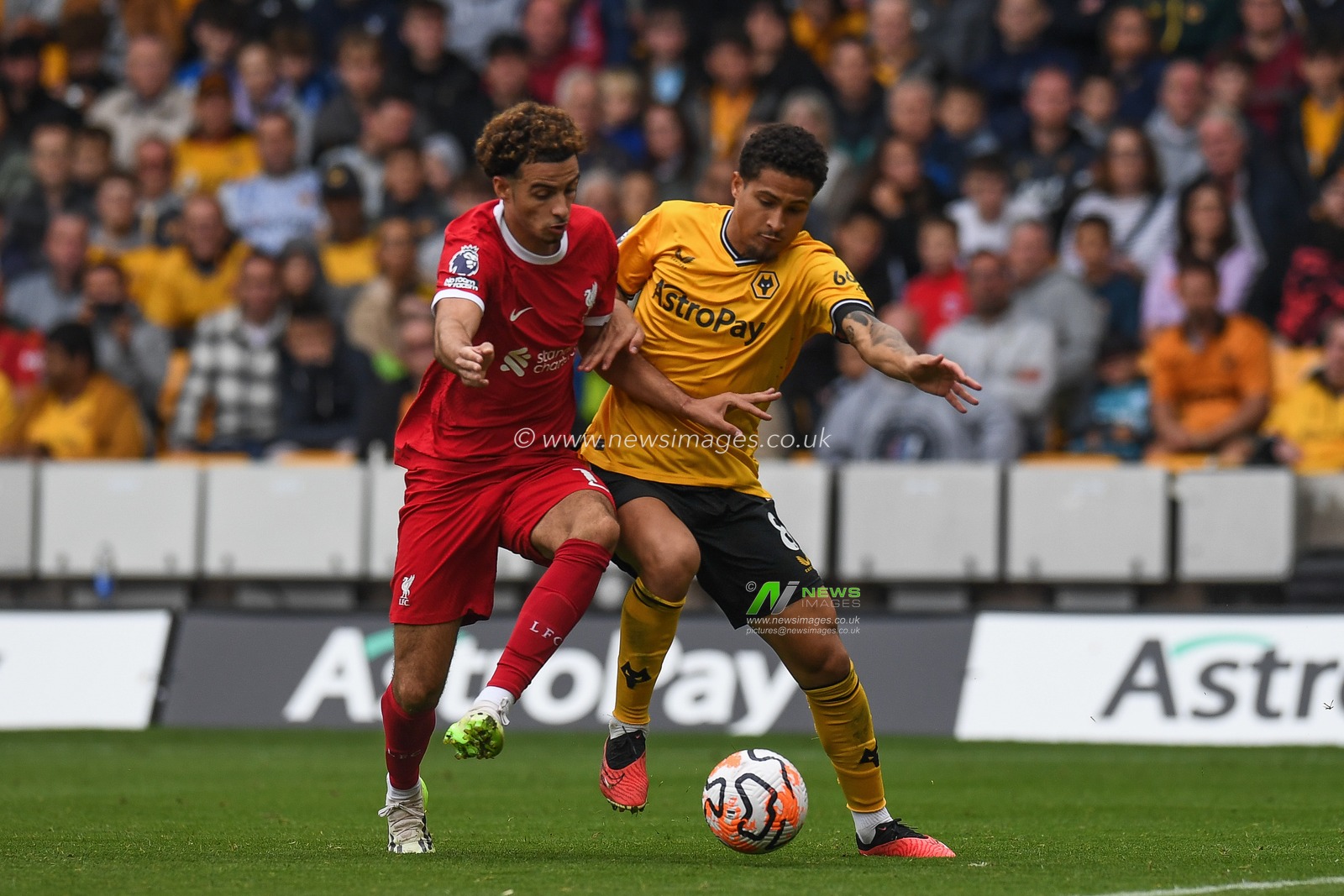 Curtis Jones #17 of Liverpool  tackled by JoÃ£o Gomes #8 of Wolverhampton Wanderers during the Premier League match Wolverhampton Wanderers vs Liverpool at Molineux, Wolverhampton, United Kingdom, 16th September 2023

(Photo by Mike Jones/News Images)