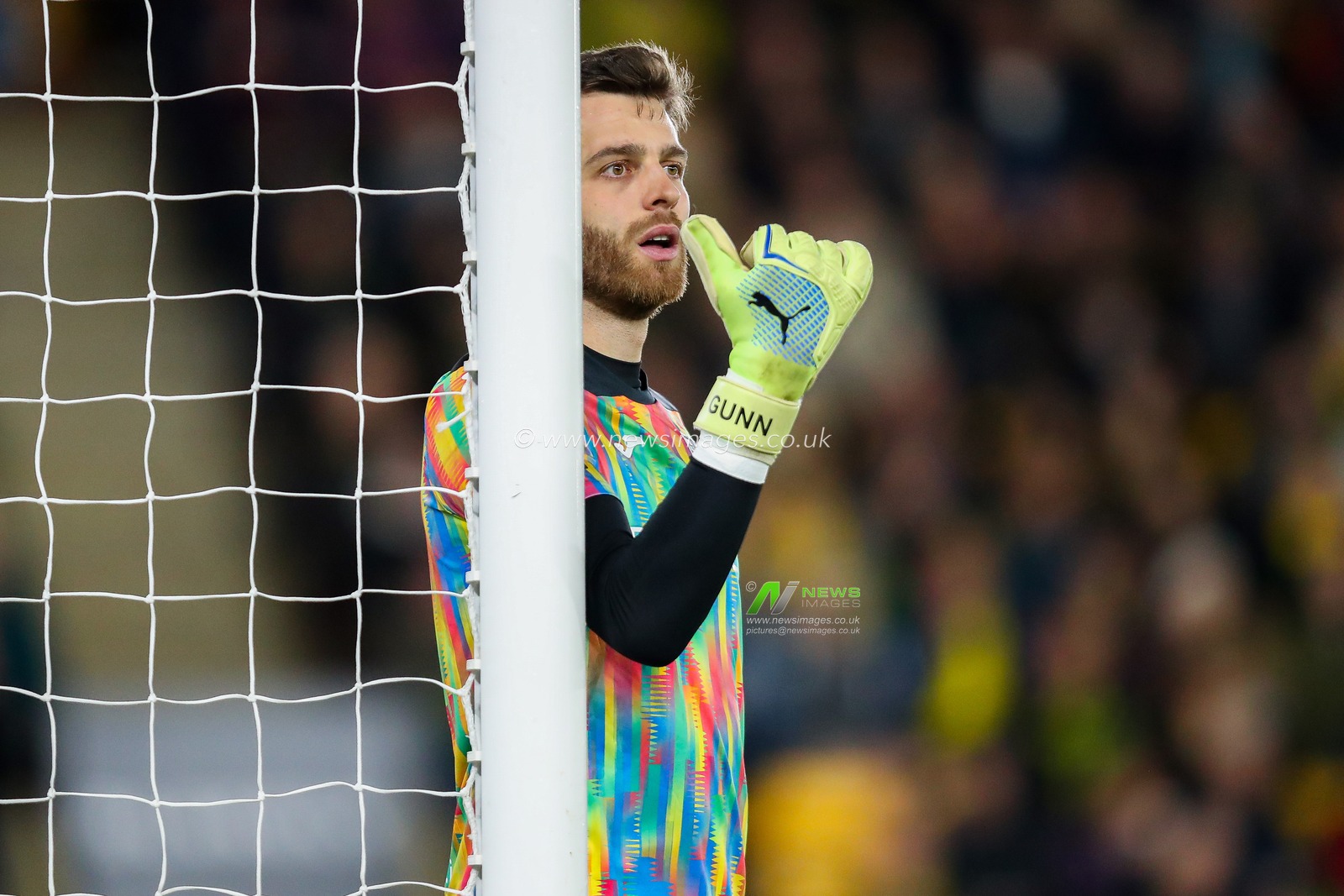 Angus Gunn of Norwich City gives the team instructions during the Sky Bet Championship match Norwich City vs Burnley at Carrow Road, Norwich, United Kingdom, 15th December 2024

(Photo by Izzy Poles/News Images)