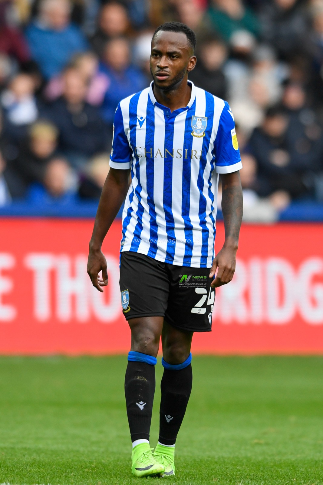Saido Berahino #24 of Sheffield Wednesday in action during the game