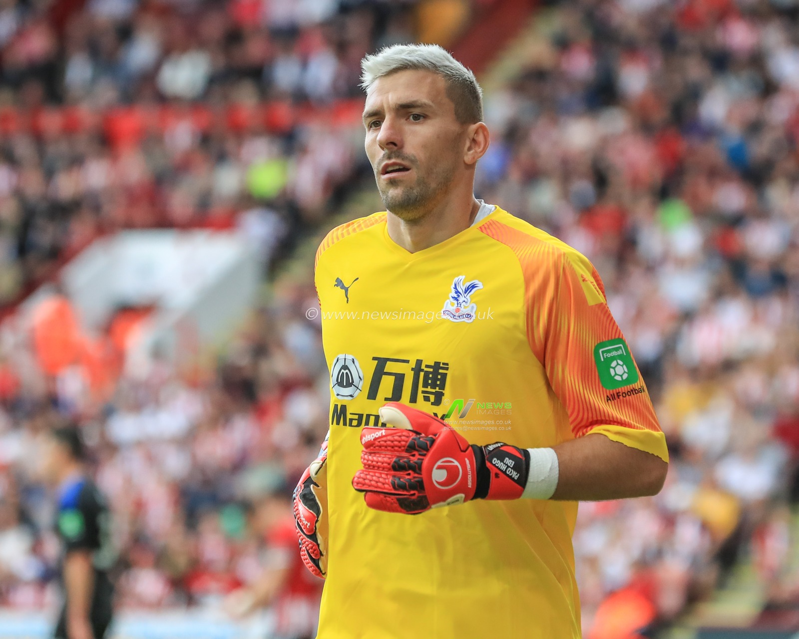 18th August 2019 , Bramall Lane, Sheffield, England; Premier League Football, Sheffield United vs Crystal Palace ; Vicente Guaita (31) of Crystal Palace during the game


Credit: Mark Cosgrove/News Images

English Football League images are subject to DataCo Licence
