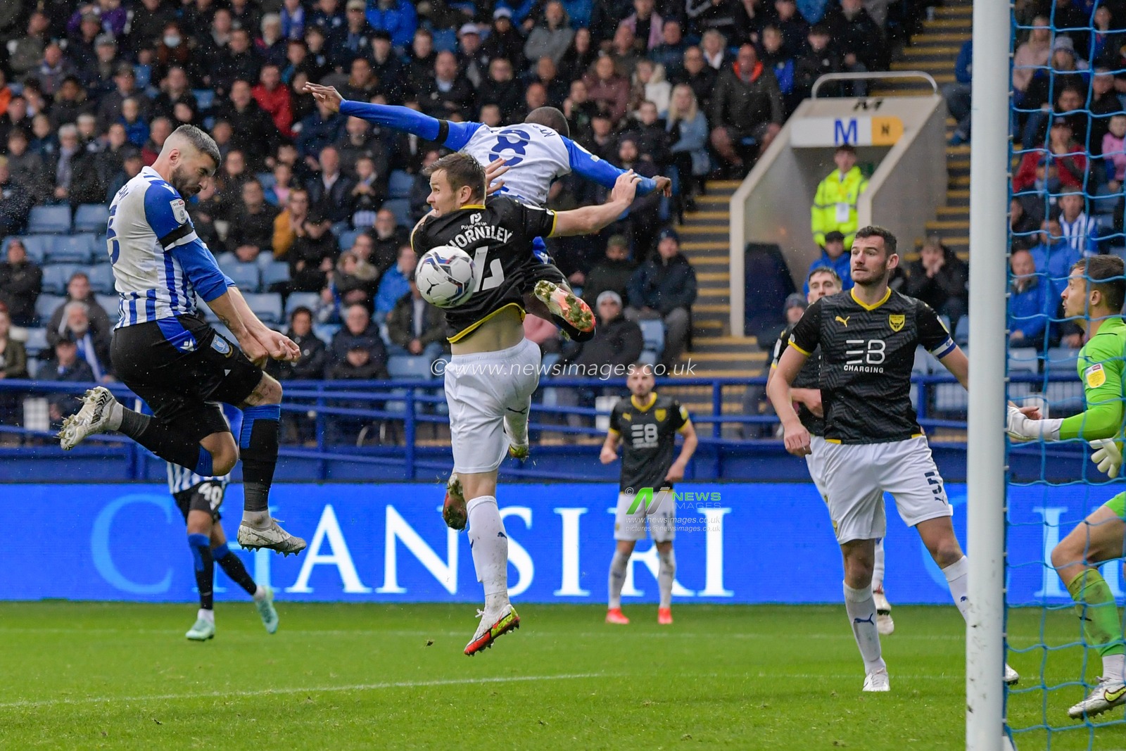 Callum Paterson #13 of Sheffield Wednesday scores a goal to make it 1-1