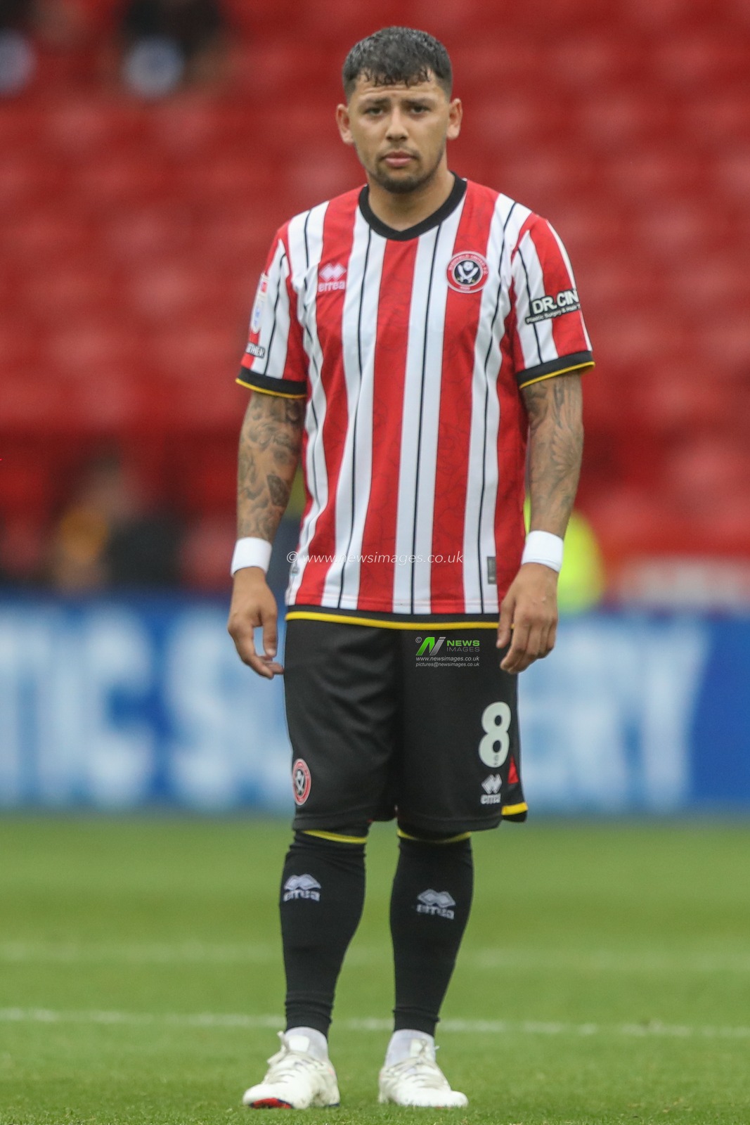 Gustavo Hamer of Sheffield United during the Sky Bet Championship match Sheffield United vs Watford at Bramall Lane, Sheffield, United Kingdom, 1st September 2024

(Photo by Alfie Cosgrove/News Images)