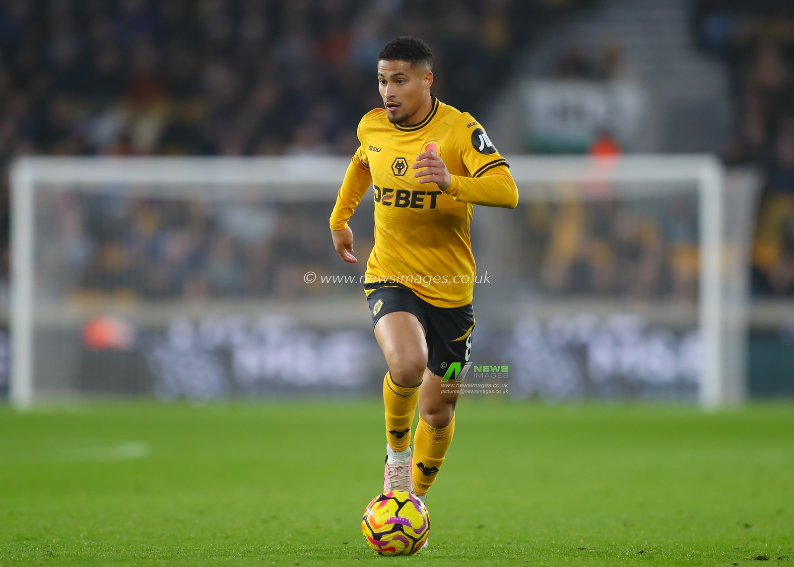 JoÃ£o Gomes of Wolverhampton Wanderers in action during the Premier League match Wolverhampton Wanderers vs Southampton at Molineux, Wolverhampton, United Kingdom, 9th November 2024

(Photo by Gareth Evans/News Images)