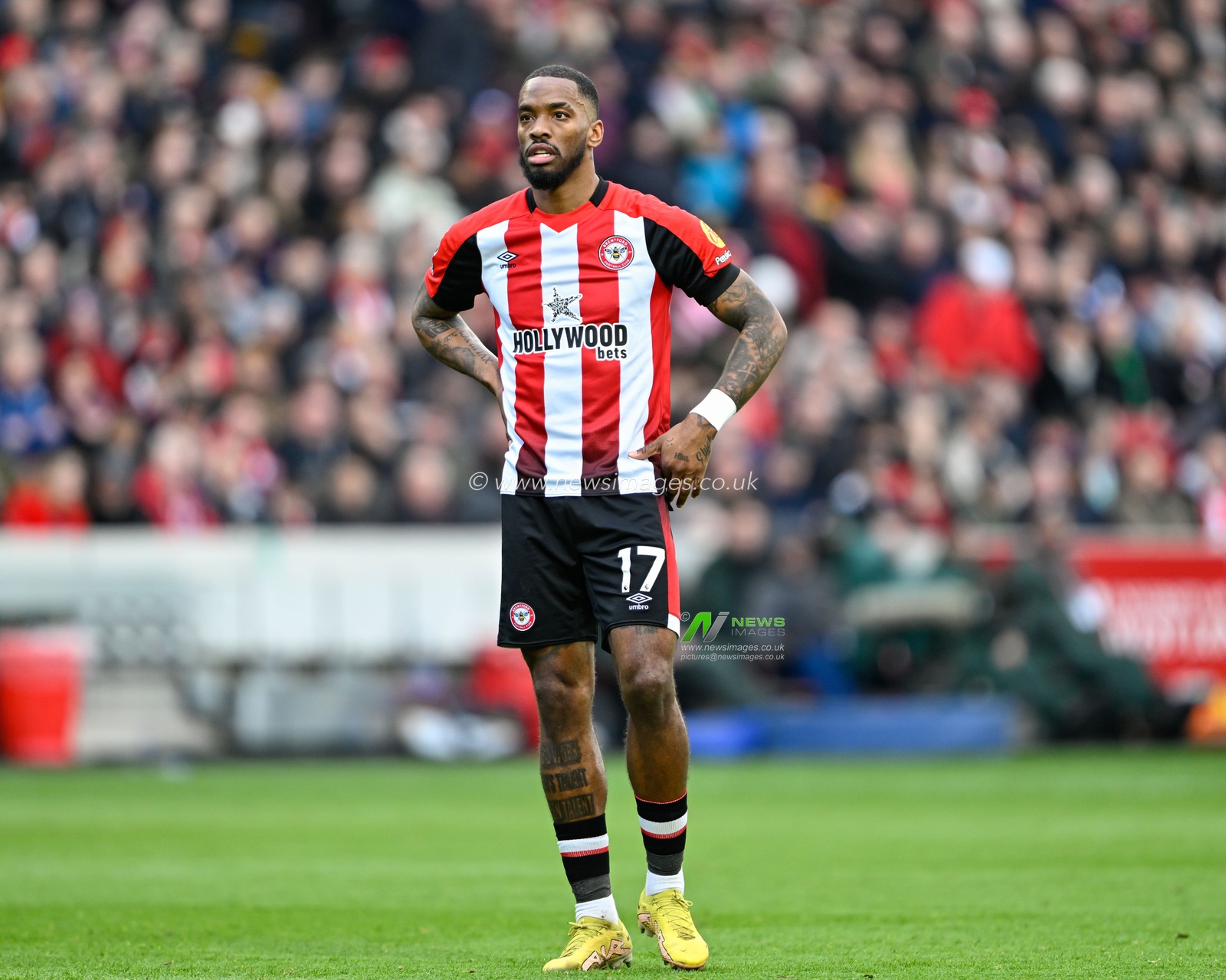 Ivan Toney of Brentford, during the Premier League match Brentford vs Chelsea at The Gtech Community Stadium, London, United Kingdom, 2nd March 2024

(Photo by Cody Froggatt/News Images)